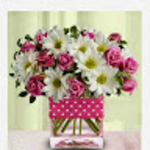 Meet your Posher, Marlene